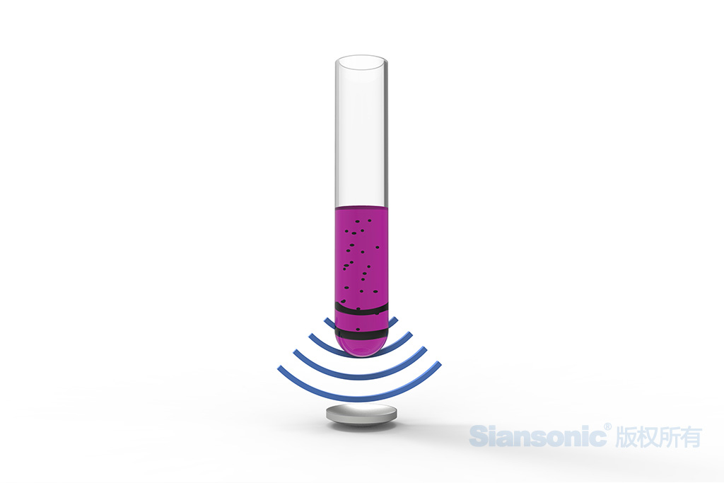 ultrasonic cell lysis